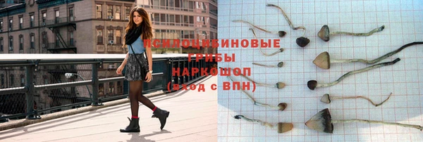 меф Гусь-Хрустальный