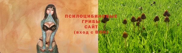 крисы Гусиноозёрск