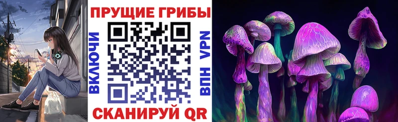 Галлюциногенные грибы Psilocybe  Купить где  Сковородино 