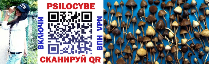 Галлюциногенные грибы ЛСД Сковородино